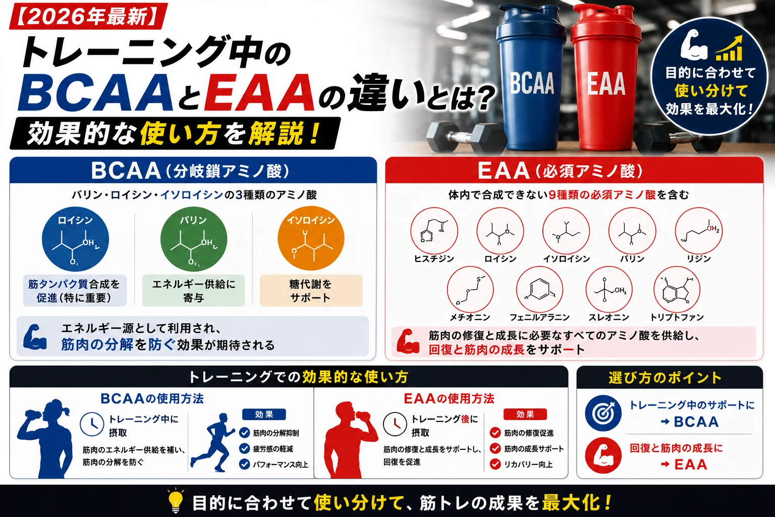 【2026年最新】トレーニング中のBCAAとEAAの違いとは?効果的な使い方を解説