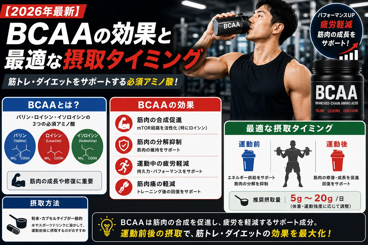 【2026年最新】BCAAの効果とは?最適な摂取タイミングを解説