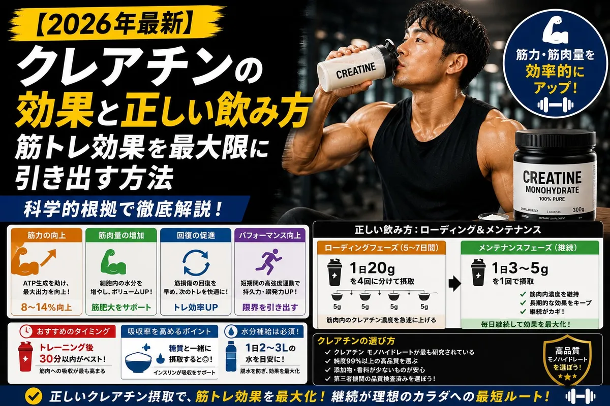 クレアチンの効果と正しい飲み方:筋トレ効果を最大限に引き出す方法